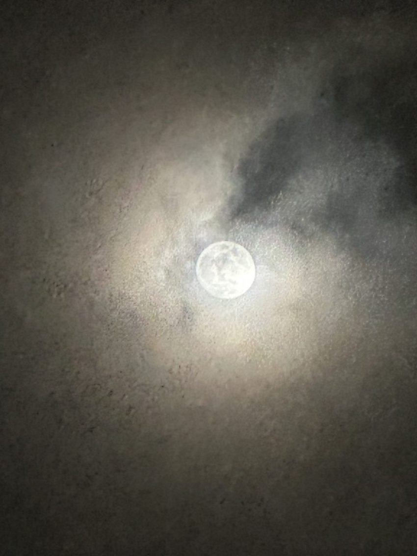 2026年3月31日、20時ころの雲越しの月